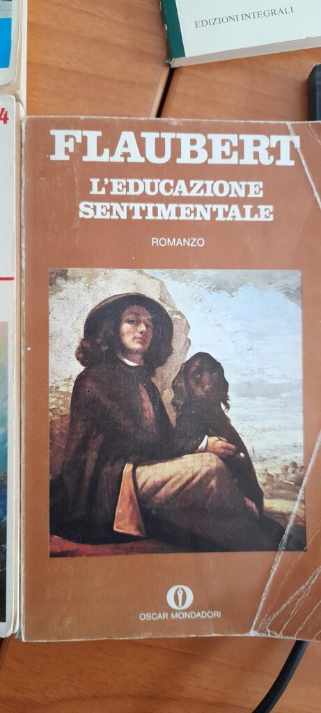 L’ EDUCAZIONE SENTIMENTALE
