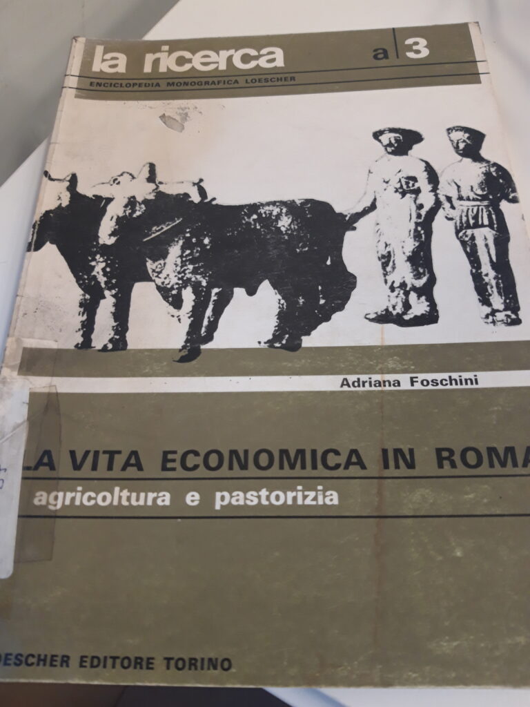 LA VITA ECONOMICA IN ROMA