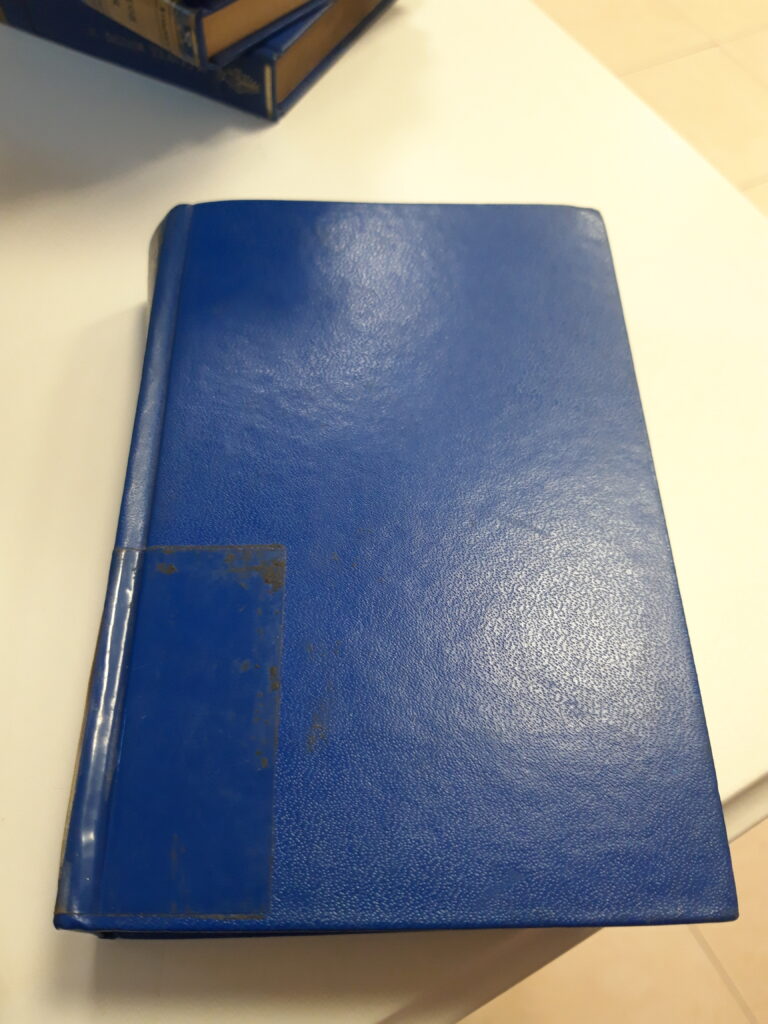 LIBRO DEGLI SHIZZI