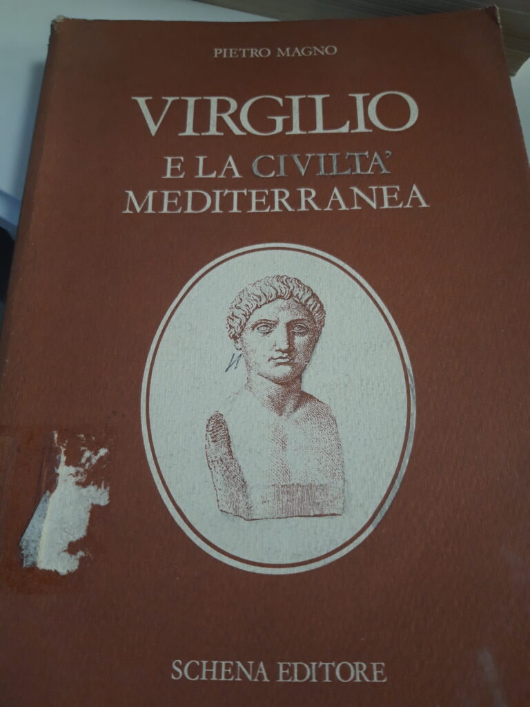 Virgilio e la civiltà  meterranea