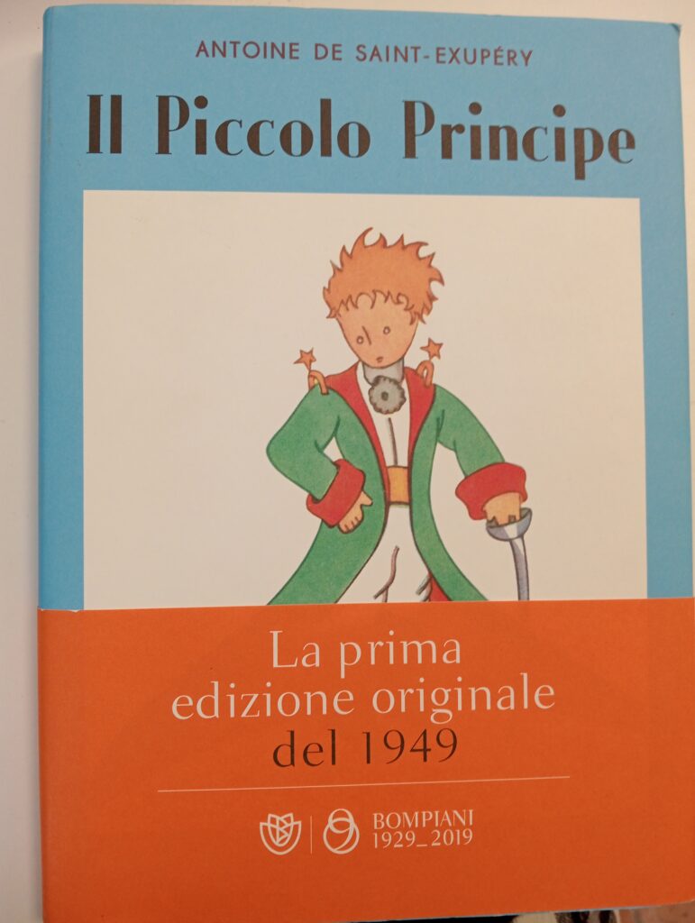 IL PICCOLO PRINCIPE