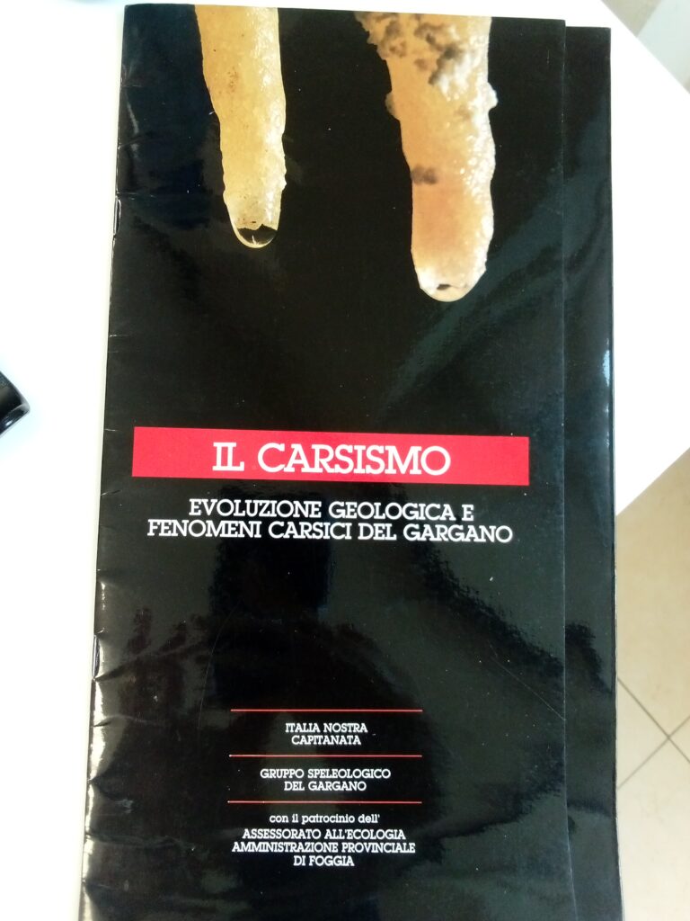 IL CARSISMO