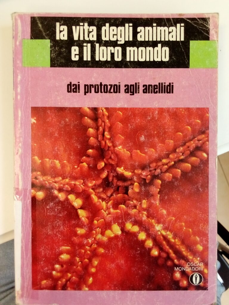 LA VITA DEGLI ANIMALI E IL LORO MONDO