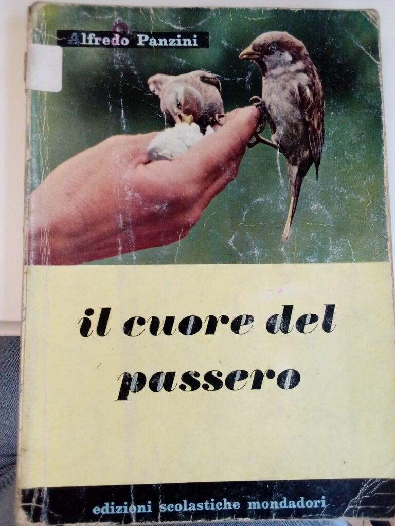 il cuore del passero
