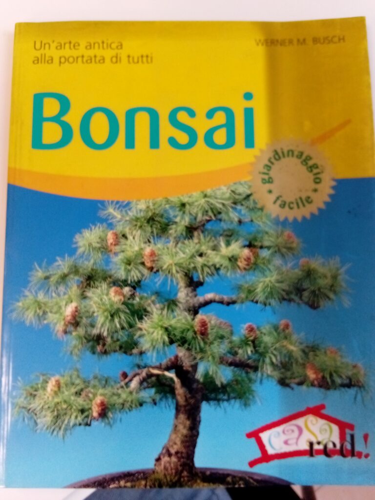 BONSAI