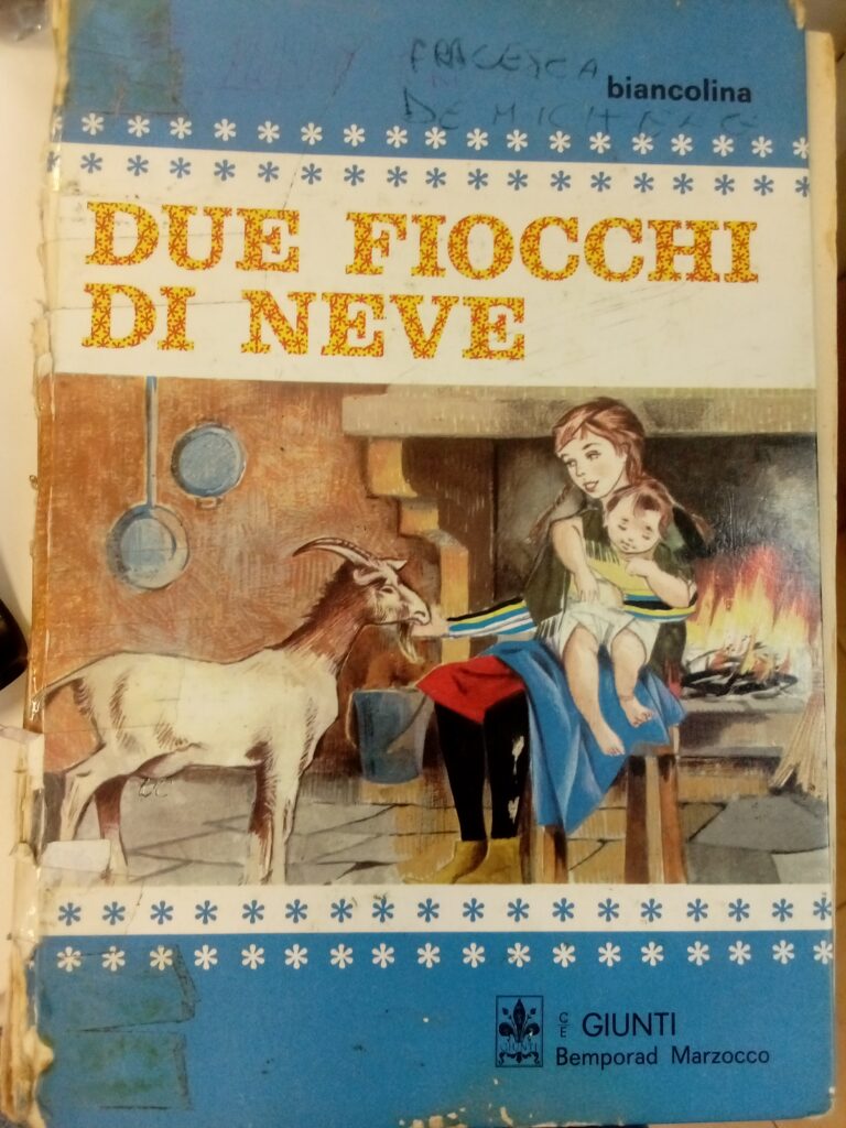 DUE FIOCCHI DI NEVE