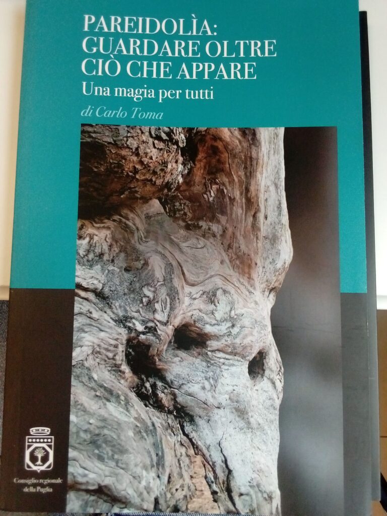 PAREIDOLIA : GUARDARE OLTRE CIO’ CHE APPARE