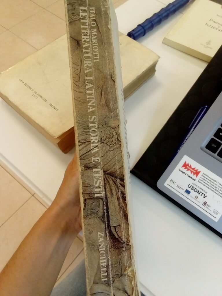 Letteratura latina. Storia e testi