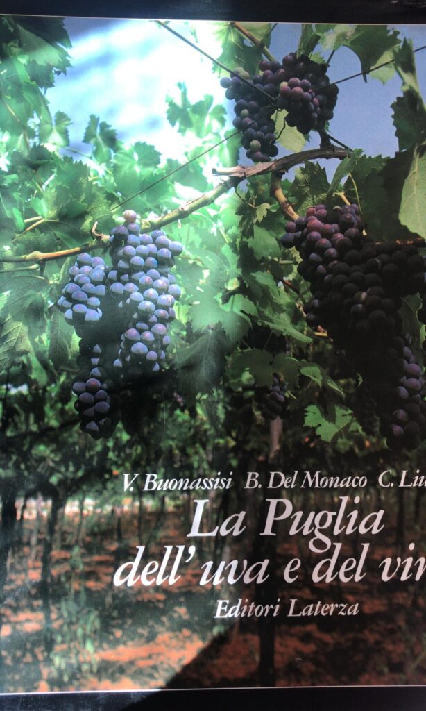 LA PUGLIA DELL’UVA E DEL VINO